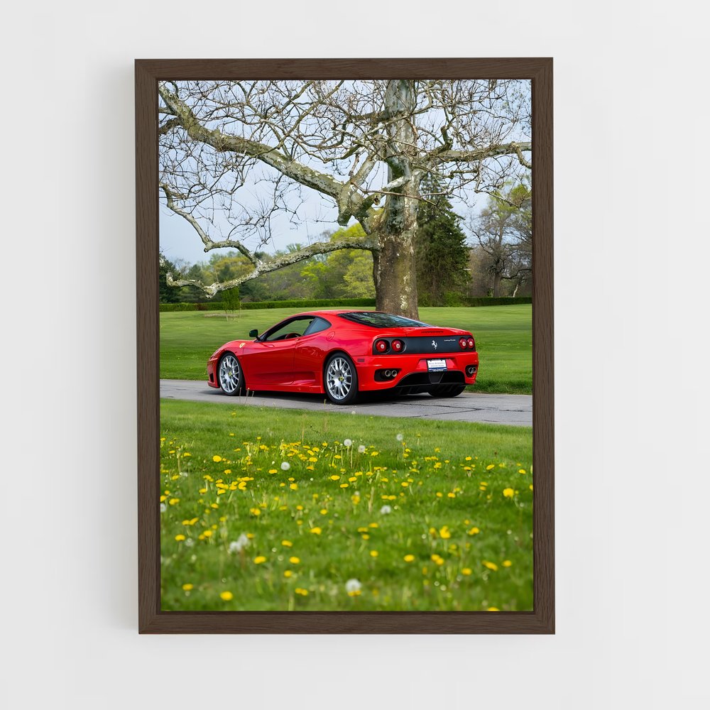 Poster Ferrari au Parc (vue 5)
